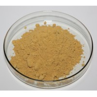 金银花提取物、绿原酸