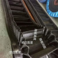大倾角输送机皮带 耐高温波形挡边输送带 耐酸碱橡胶裙边带