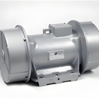 INVICTA VIBRATORS振动器