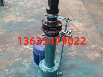 DTZ500-200电动推杆  济宁电动推杆图1
