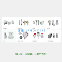 CKD供应W2000-8-W-F1T8过滤减压阀