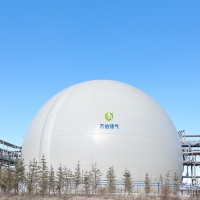 大白球双膜储气柜WD68