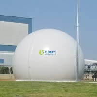 大白球双膜储气柜WD68S
