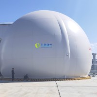 大白球双膜气柜WD68S